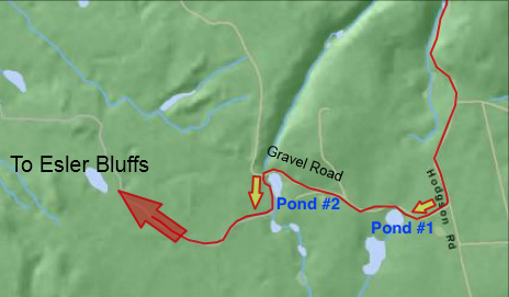 Image B: Turn left after second pond